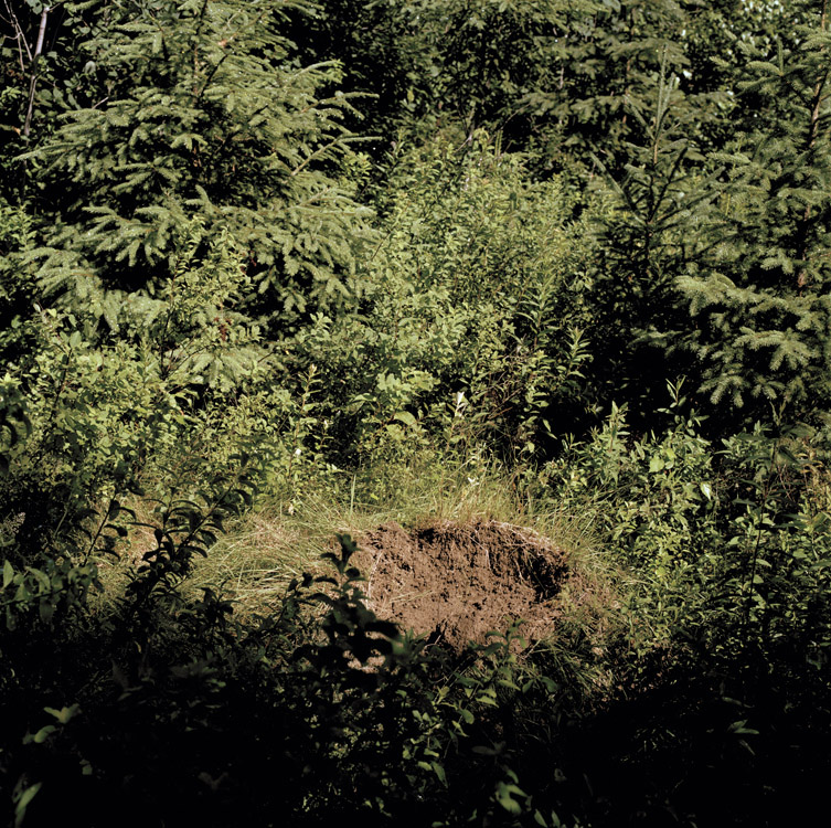 01_Normand_Rajotte_126_08_2007_10