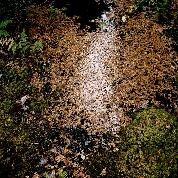 02_Normand_Rajotte_83_09_2009_6