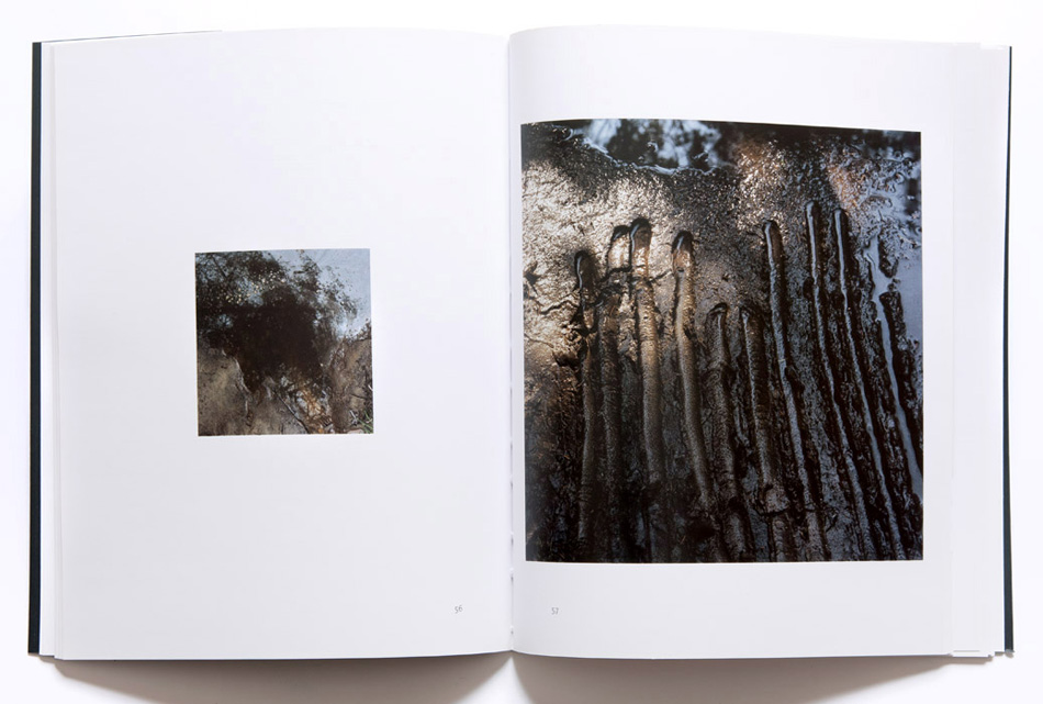 03b_Normand_Rajotte_Marcher_sa_trace