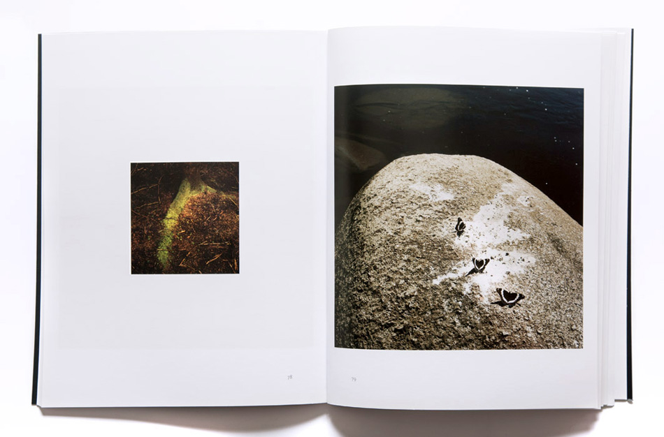 05b_Normand_Rajotte_Marcher_sa_trace