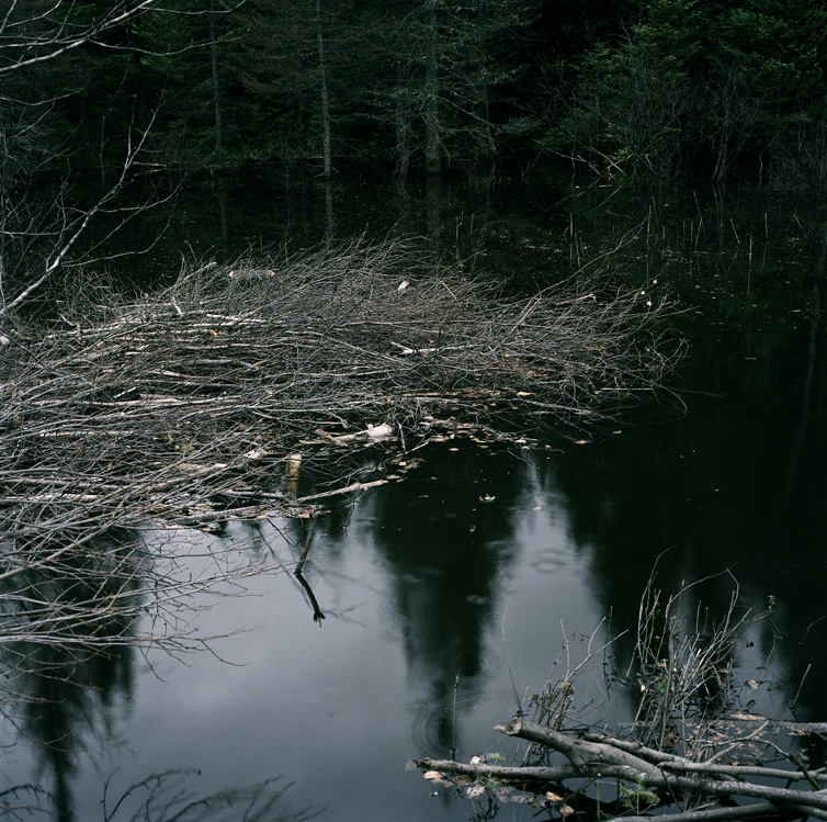 06_Normand_Rajotte_28A_3_1_2010_2_D2
