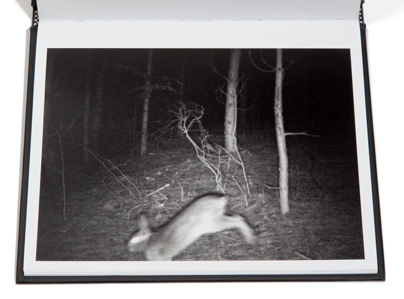 07_Carcasse_Normand_Rajotte_lièvre