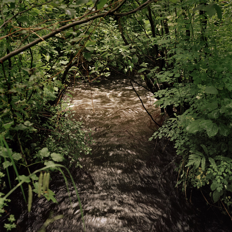 20_Normand_Rajotte_122_06_2006_8