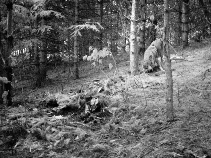24_Normand_Rajotte_70381_version2