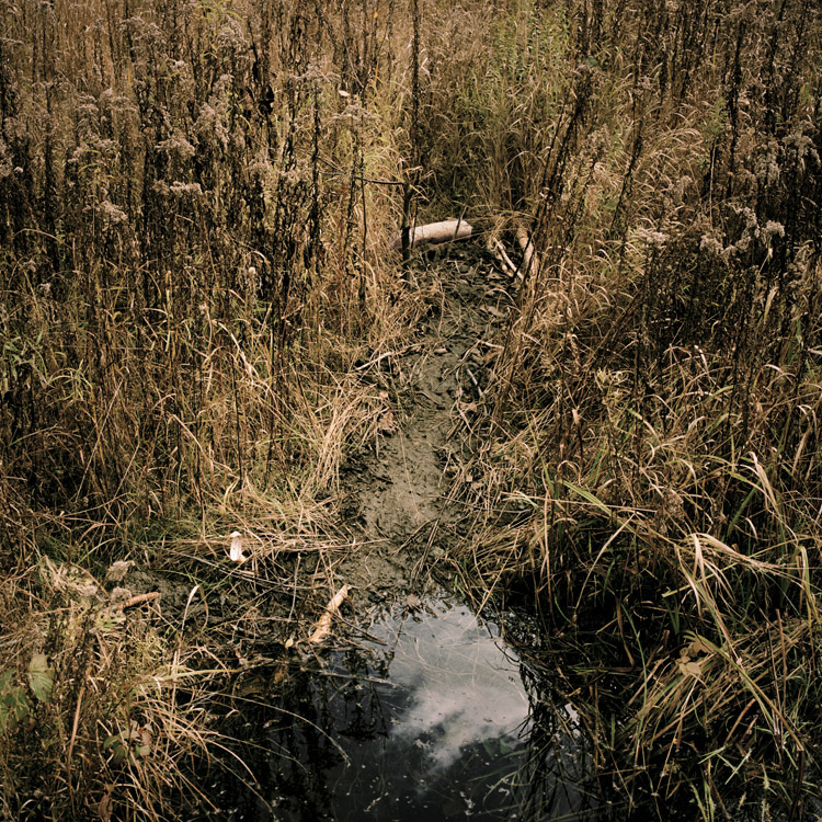 27_Normand_Rajotte_134_9_2008_1_B